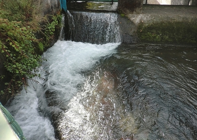 e0143690_949421.jpg
