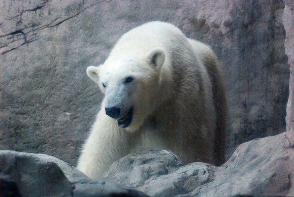 e0319302_1782062.jpg