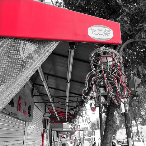 e0137705_21515913.jpg