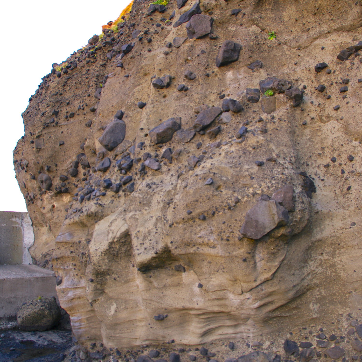 e0142611_2382026.jpg