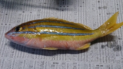 c0117621_2304073.jpg
