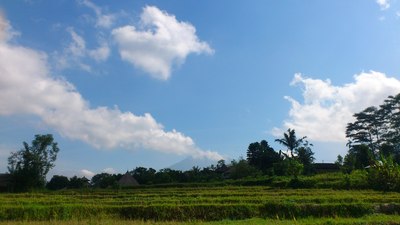 c0025422_19151218.jpg