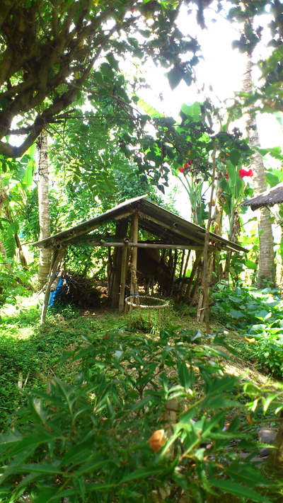 c0025422_19225190.jpg