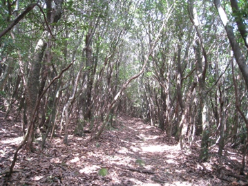 c0077338_17345746.jpg