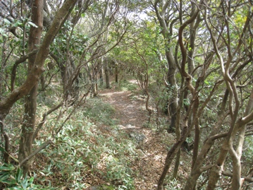 c0077338_17351985.jpg