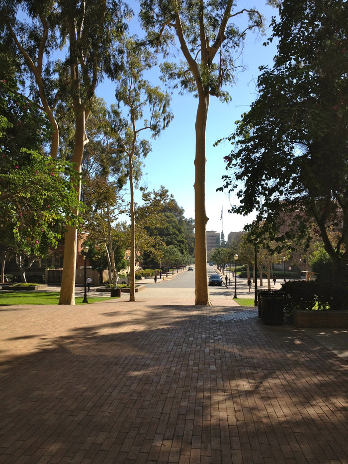 b0188839_14354320.jpg