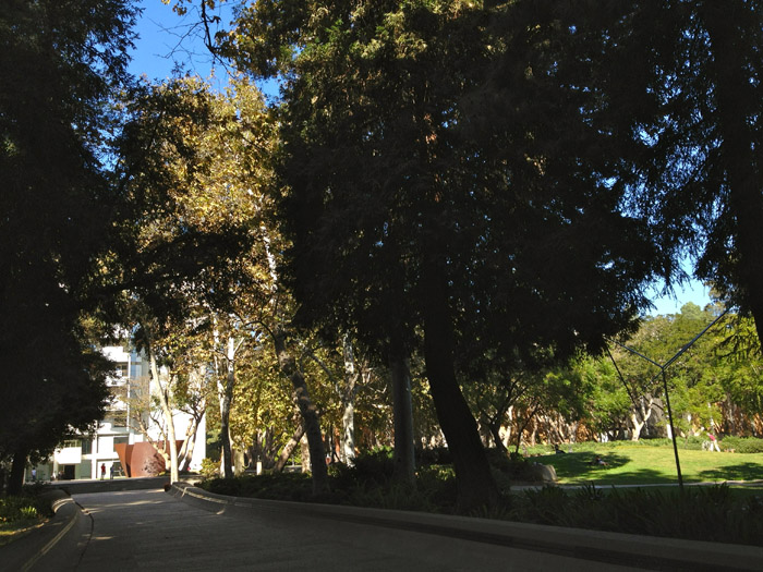 b0188839_14354843.jpg