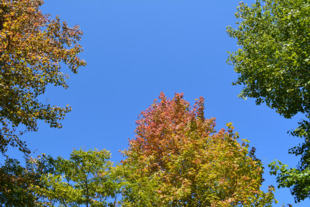 c0195439_0283454.jpg