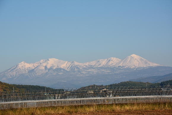 a0315942_20563630.jpg