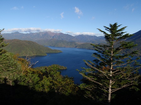b0080342_2035118.jpg