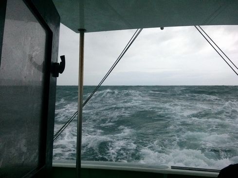 e0007544_106569.jpg