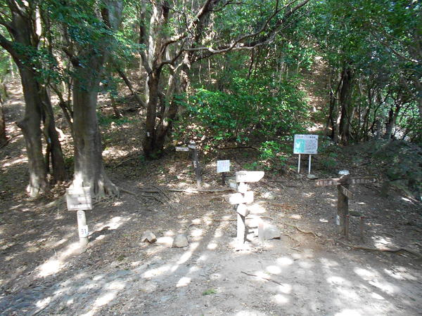 a0206345_1782775.jpg