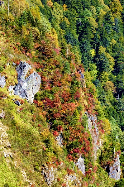 b0122448_935223.jpg