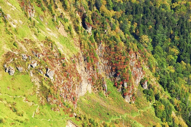 b0122448_94312.jpg