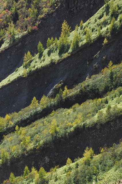 b0122448_952272.jpg
