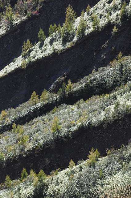 b0122448_953290.jpg
