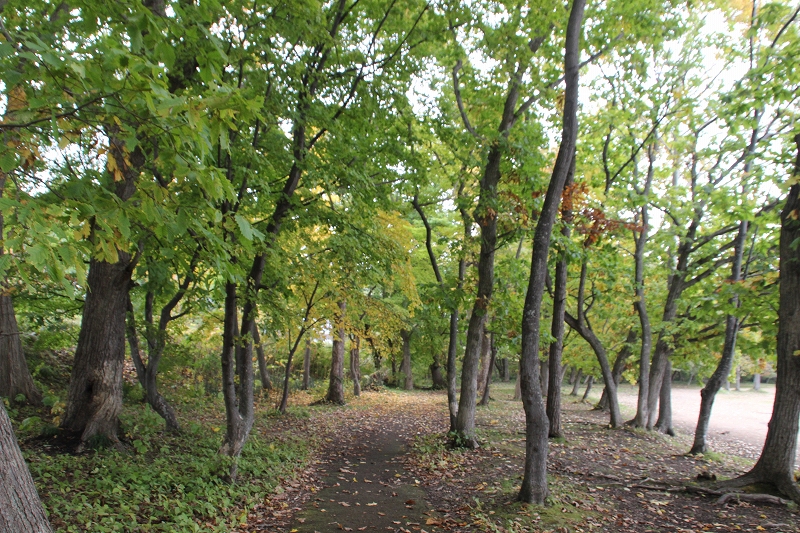 b0250154_2133287.jpg