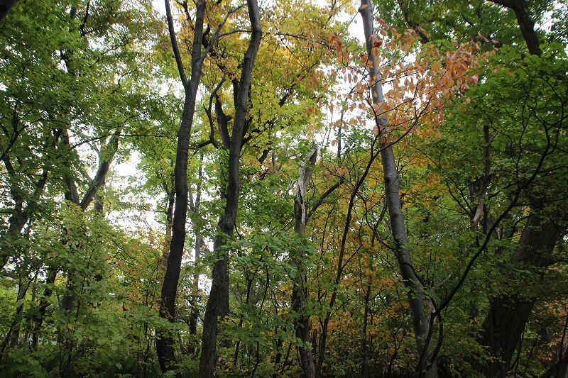 b0250154_21354166.jpg