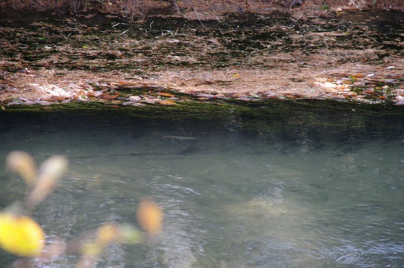 c0214764_1995254.jpg