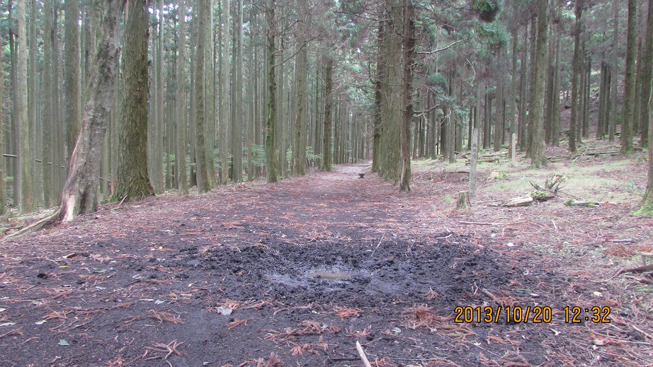 f0016066_2118692.jpg