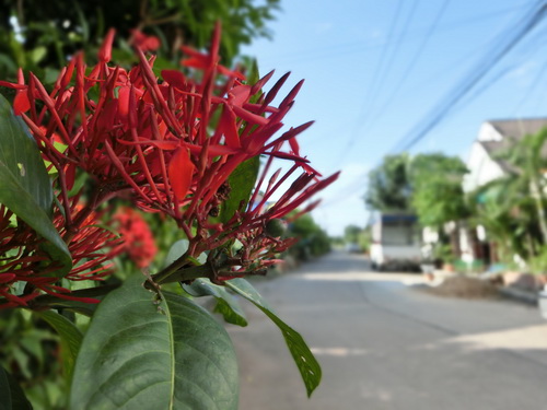 a0002177_10313590.jpg