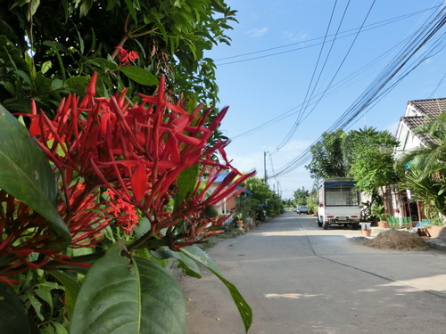 a0002177_1031464.jpg