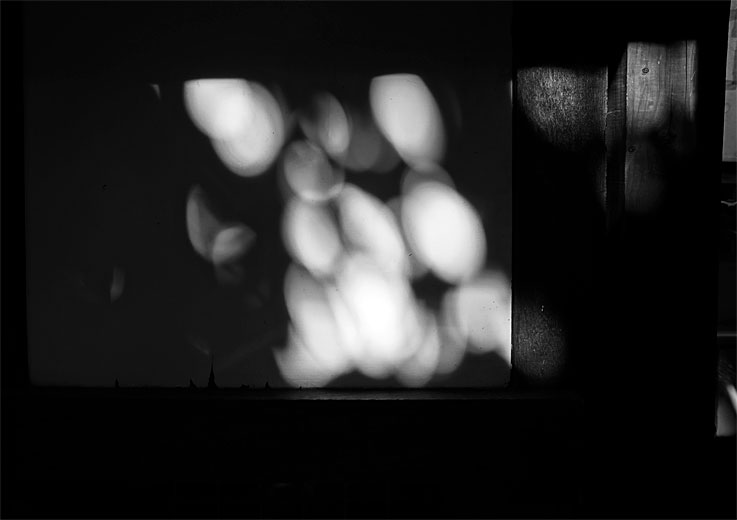 b0057679_7351845.jpg