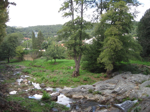 b0191284_13324266.jpg