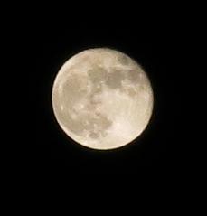 e0130185_21283578.jpg