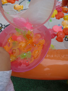 f0169885_6561277.jpg