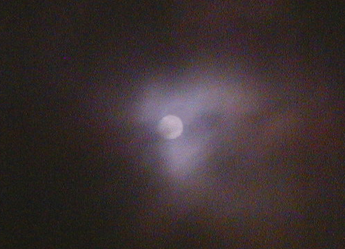 d0053294_1492884.jpg
