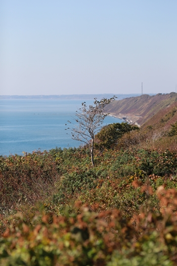 e0059896_20503430.jpg