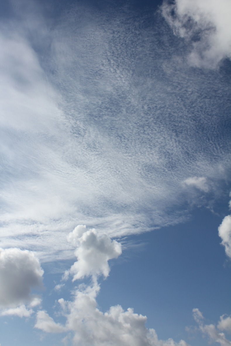 c0204298_2326392.jpg
