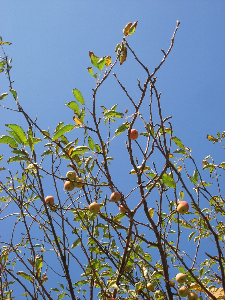c0204298_23292190.jpg