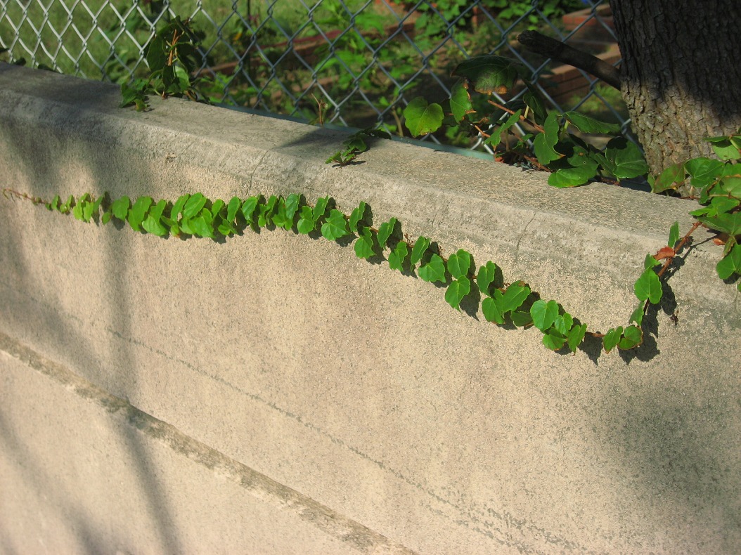 c0204298_23354267.jpg