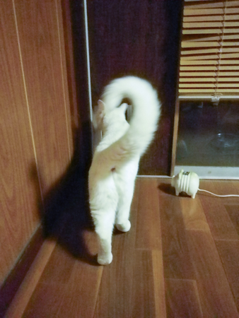f0239100_22344150.jpg