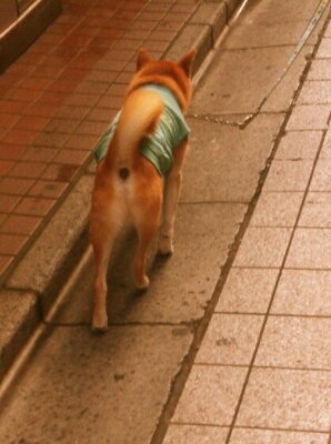 c0202101_11203428.jpg