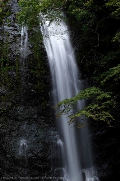 e0137705_23413039.jpg