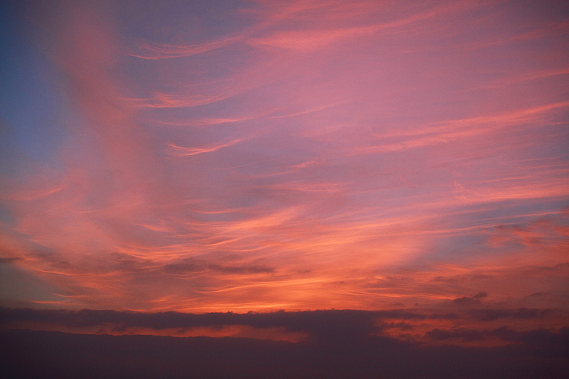 a0148606_12424073.jpg