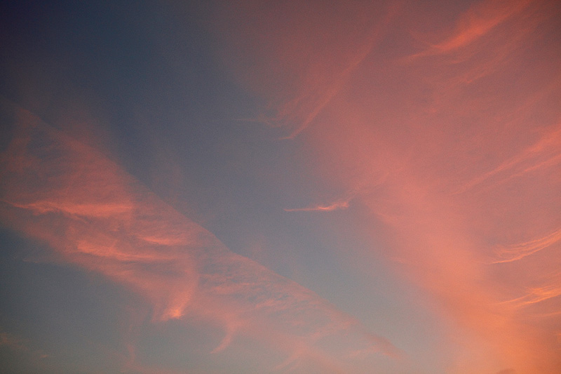 a0148606_12425391.jpg