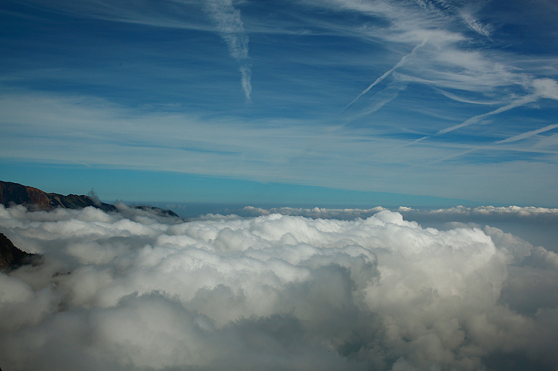 a0148606_17153282.jpg
