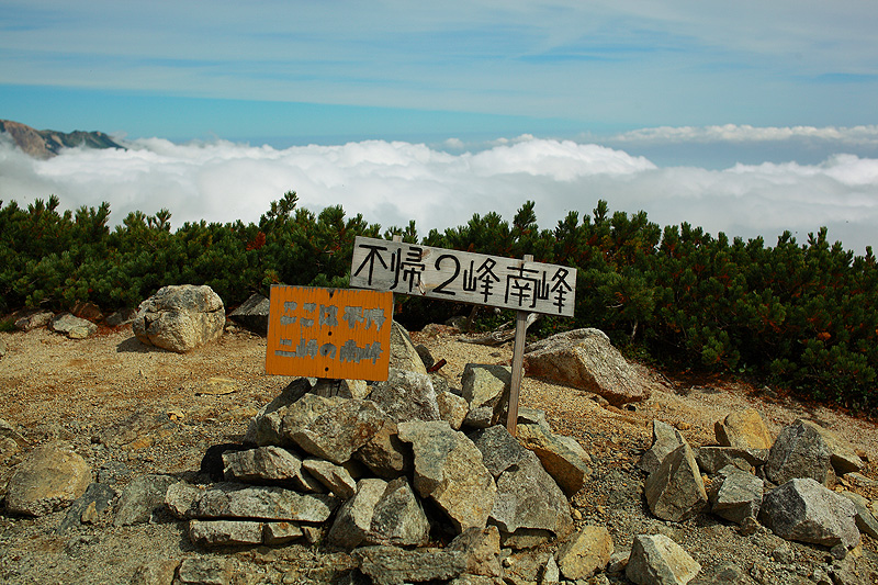 a0148606_1729149.jpg
