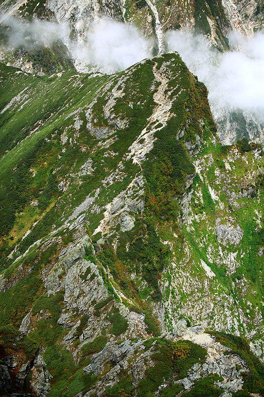 a0148606_17333546.jpg