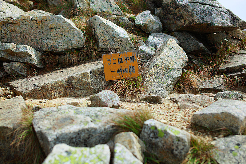 a0148606_17382143.jpg