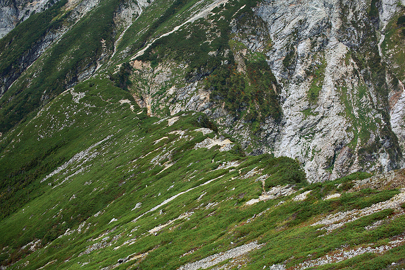 a0148606_17384029.jpg