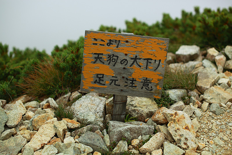 a0148606_17402320.jpg