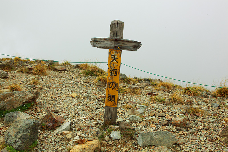 a0148606_17431836.jpg