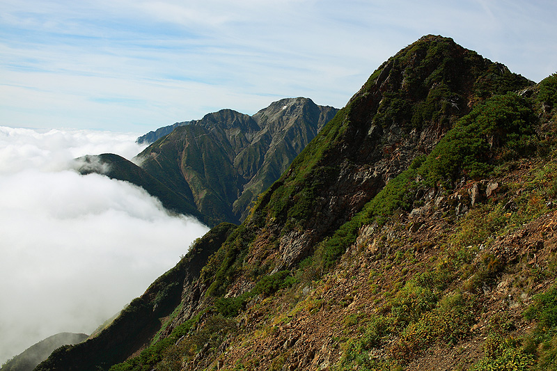 a0148606_1751940.jpg