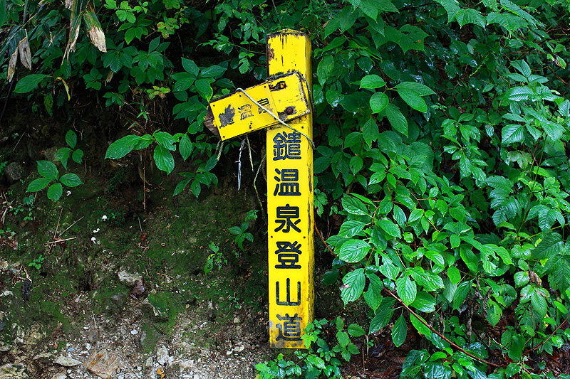 a0148606_1813086.jpg