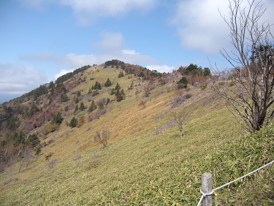 f0057509_1274887.jpg